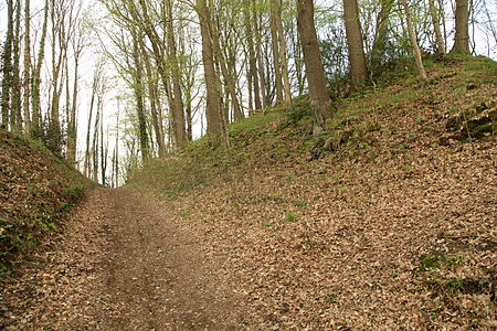 Solingen Burg Friedhofweg Galapa 26 ies