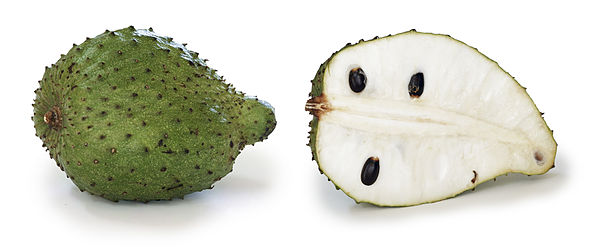 Image: Soursop, Annona muricata