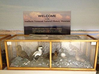 An exhibit in the museum Southern Vermont Natural History Museum Statement.JPG