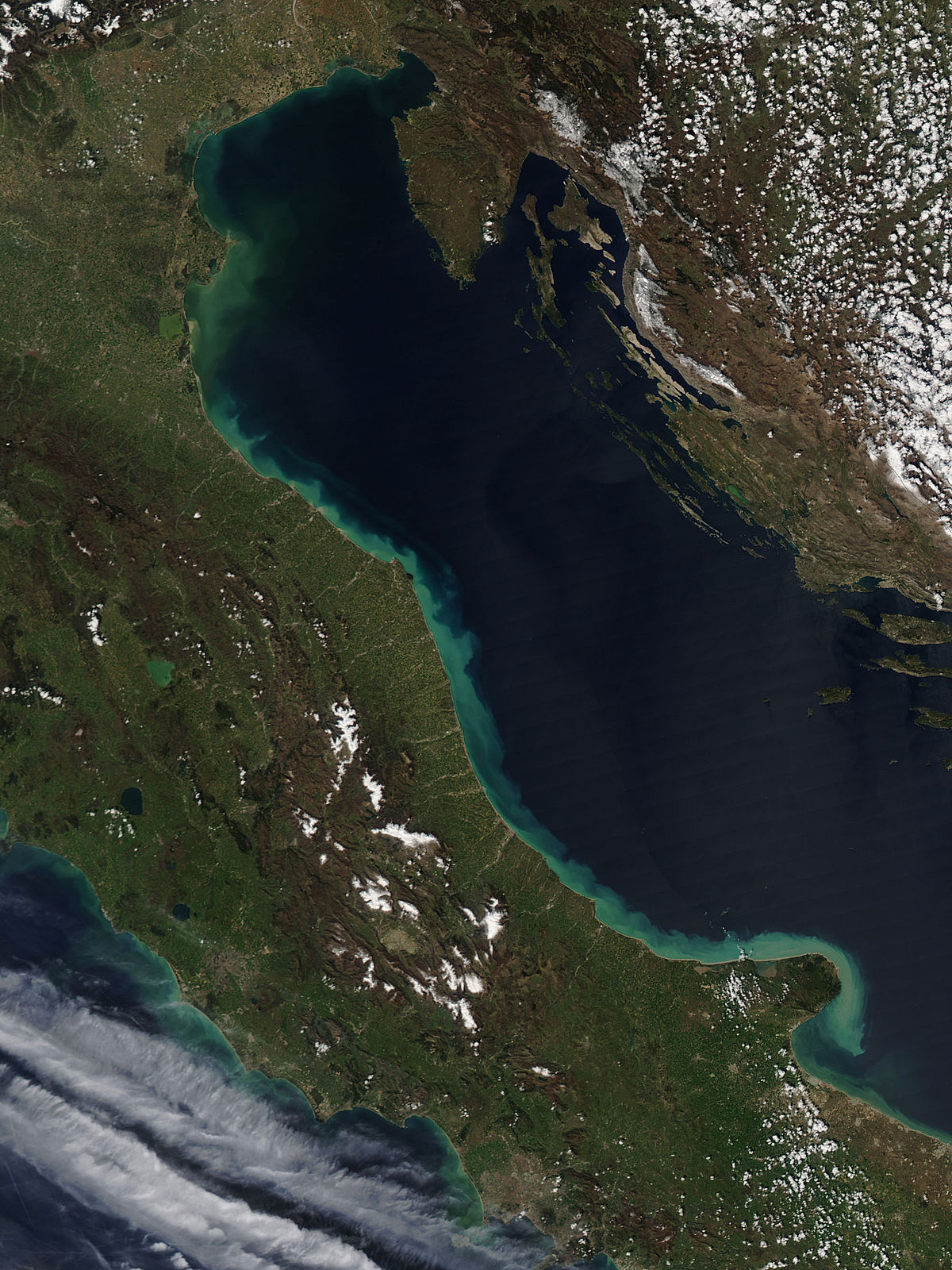 File Spring Runoff In The Adriatic Sea Jpg Wikipedia