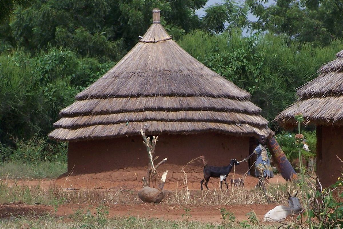 Constructing a traditional type hut at Malakal, Southern Sudan - South  Sudan. Finished huts in the background Stock Photo - Alamy