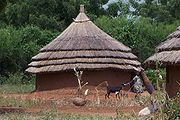 Hütte in Juba