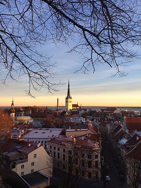 File:Tallinn - -i---i- (32463797495).jpg