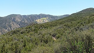 <span class="mw-page-title-main">Santa Ana Mountains</span> Mountain range in California, United States