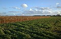 * Nomination: Corn field, Rue de Reims, in Templemars, France --Velvet 07:52, 21 November 2023 (UTC) * * Review needed