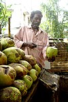 Tender coconut vendor