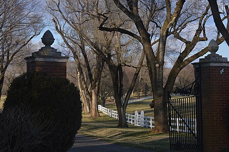 Tetley gate and driveway