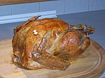 Thanksgiving Turkey.jpg