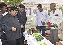 Maharashtra, doktor Patangrao Kadam ko'rgazma do'konlarini tomosha qilmoqda, Bharat Nirman haqida ommaviy axborot kampaniyasida, Kavthe Mahankal, Dist. Sangli, Maharashtra, 2013 yil 22-dekabr .jpg