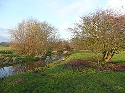 La Rivero Swarbourn, Alrewas - geograph.org.uk - 1595119.jpg