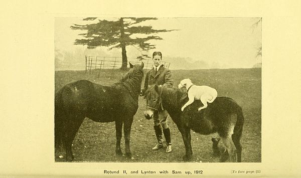 Image as depicted in The Horse, as Comrade and Friend, published in 1920