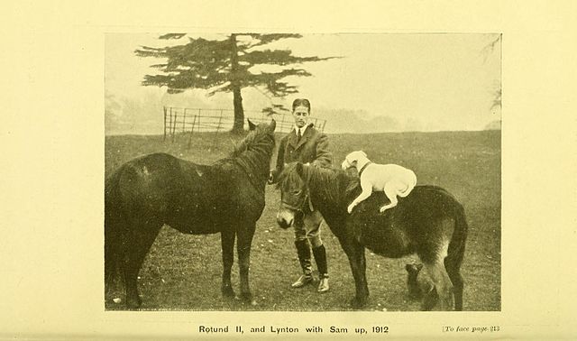 Image as depicted in The Horse, as Comrade and Friend, published in 1920