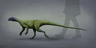 <i>Thecodontosaurus</i> genus of reptiles (fossil)