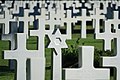 * Nomination Jewish grave in Colleville-sur-Mer (Calvados, France). --Gzen92 03:37, 15 August 2022 (UTC) * Promotion  Support Good quality. --XRay 03:48, 15 August 2022 (UTC)