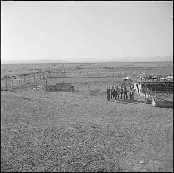 File:Topaz, Utah. Japanese farmer residents at the Topaz Relocation Center examining an existing hog far . . . - NARA - 538685.jpg