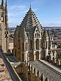 Torre del Gallo, Catedral Vieja de Salamanca.jpg