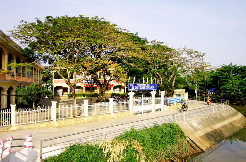 File:Trường Tiểu học Bùi Thị Xuân.jpg