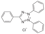 Nova SVG slika