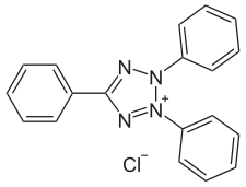 Image illustrative de l’article Chlorure de triphényltétrazolium