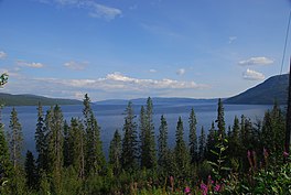 Tunnsjøen with trees.jpg