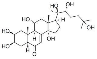 Turkesterone