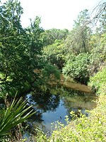 Turkey Creek Sanctuary