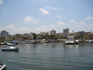 Cảng cá thành phố