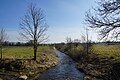 La vall del Linau