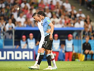 Edinson Cavani: Biographie, Caractéristiques techniques, Statistiques