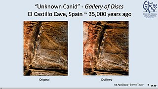 Upper Paleolithic unknown canid depicted on the Gallery of Discs in the Cave of El Castillo, Spain.jpg