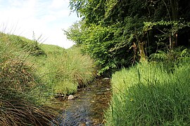 The Goldmines River upstream of Ballinagore Bridge