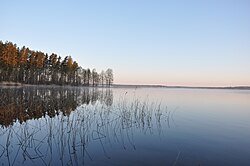 Usmas ezers, Ģibuļu pagasts, Talsu novads, Latvia.jpg