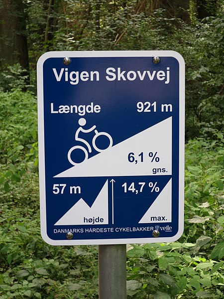 File:Vigen Skovvej.jpg