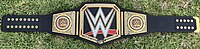 Der aktuelle WWE-Championship-Gürtel mit Standard-Seitenplatten (seit 2014)