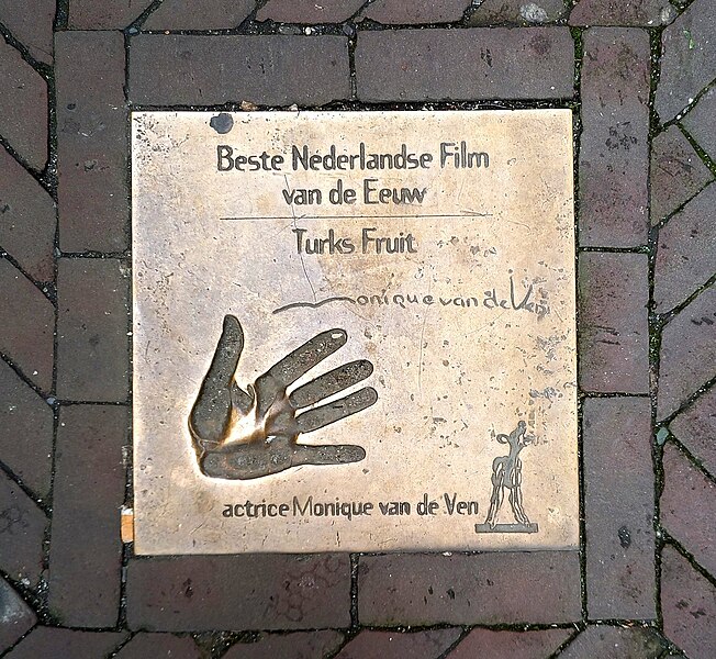 File:Walk of Fame-tegel van Monique van de Ven.jpg