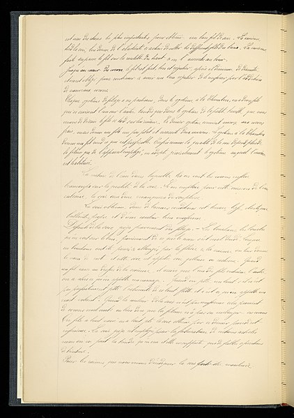 File:Weaver's Thesis Book (France), 1895 (CH 18438163-51).jpg