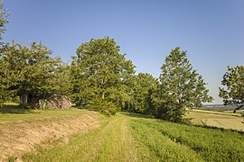 Grass track south of Schönbrunn (Ebelsbach), in "Protected landscape area inside Hassberge nature park"