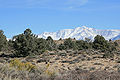 White Mtns, past ridge with pinyons