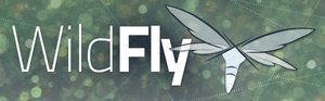 Wildfly logo.png