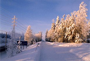 Snow-clad trees and power lines in Finland
