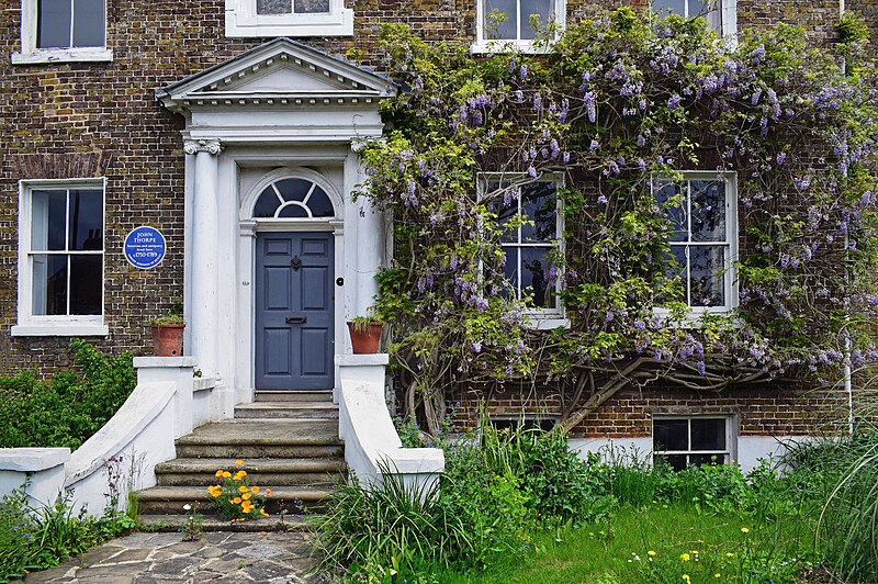 File:Wisteria on Window (51212288267).jpg