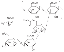 Xanthane.svg