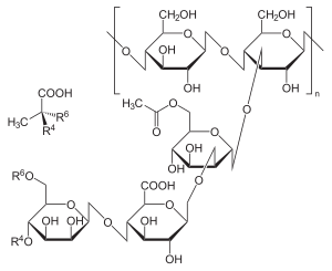 Chewing gum - Wikipedia