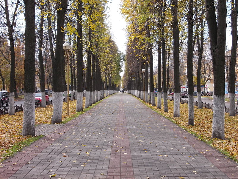 File:Yaroslavl-Lenin-Avenue-003.JPG