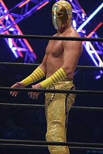 Ángel de Oro Mexican professional wrestler