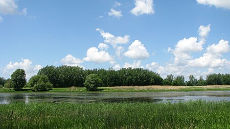 Île aux Raisins 3