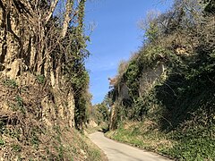 Öltrottenkinzig - a sunken lane near Merdingen (Baden) 1.jpg