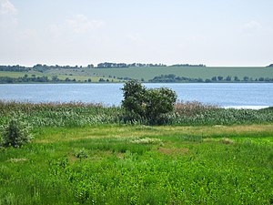 Річка Плоска Осокорівка у пониззі, підтоплена водами Дніпровського водосховища