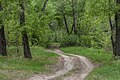 * Nomination: Dirt road in Floodplain of Irtysh sanctuary. Pavlodar Region, Kazakhstan. By User:Ivan ideia --Красный 06:22, 17 June 2023 (UTC) * Review Too much denoising, I believe --Poco a poco 08:01, 17 June 2023 (UTC)