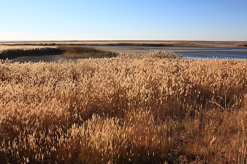 File:Троицкое водохранилище - panoramio.jpg